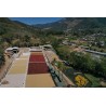 WINNER CUP OF EXCELLENCE 2025 GUATEMALA EL MORITO CAFFE' TOSTATO IN GRANI 100G
